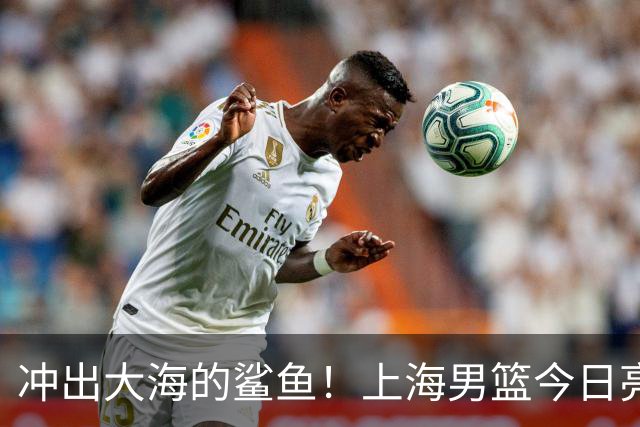 冲出大海的鲨鱼！上海男篮今日亮相洲际舞台