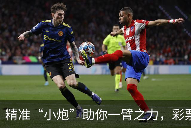 精准“小炮”助你一臂之力，彩票预测不再是盲人摸象！